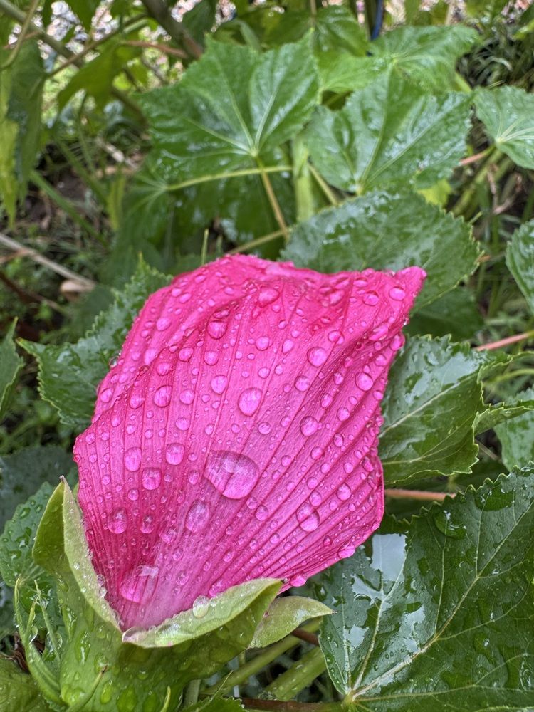 Photograph by Бойкова Наталия