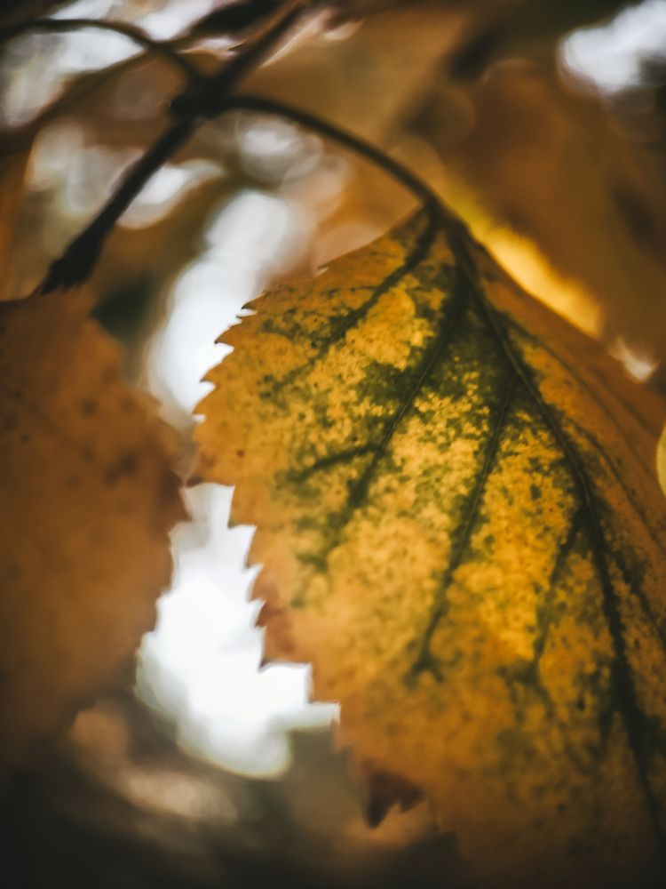 Photograph by Виктория Фирсова