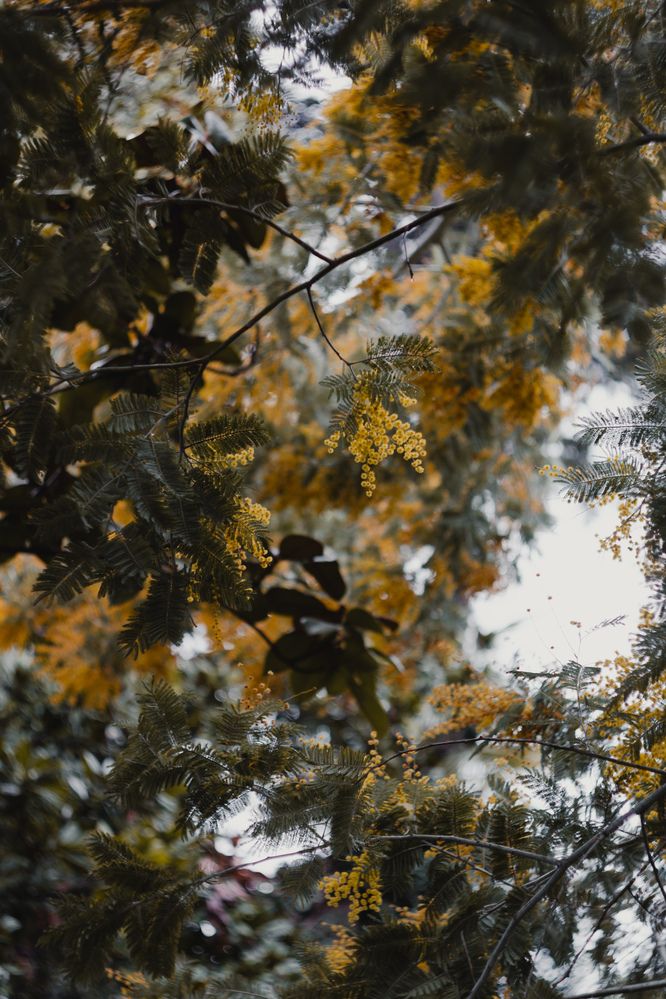 Photograph by Виктория Фирсова