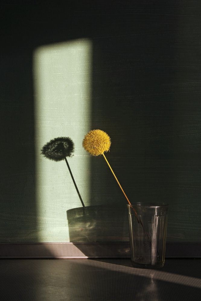 Photograph by Аркадова Елена