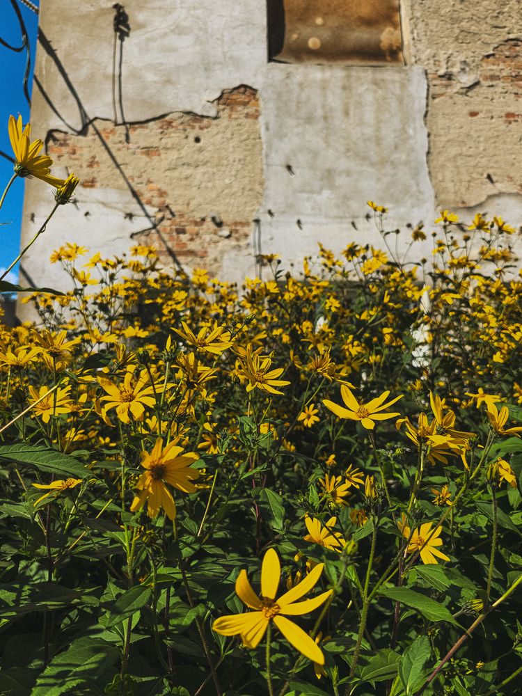Фотография автора Екатерина Вакалова