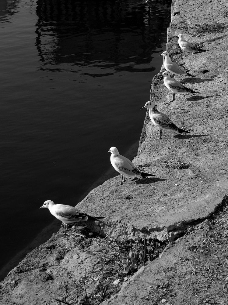 Photograph by Яна Истоцкая