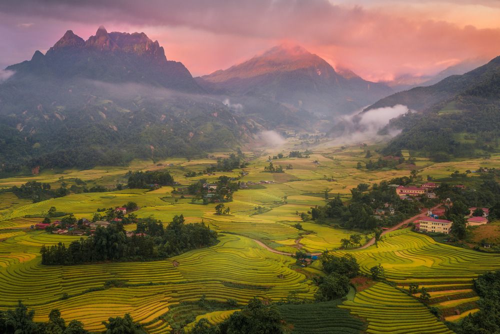 Фотография автора Tran Linh