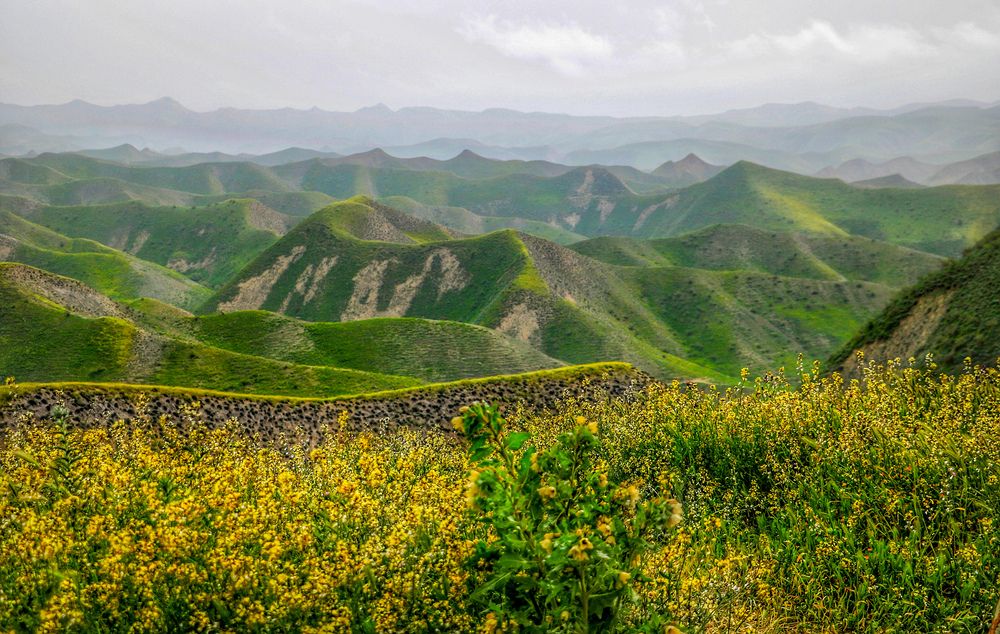 Photograph by Shahrzad Shahrokhi