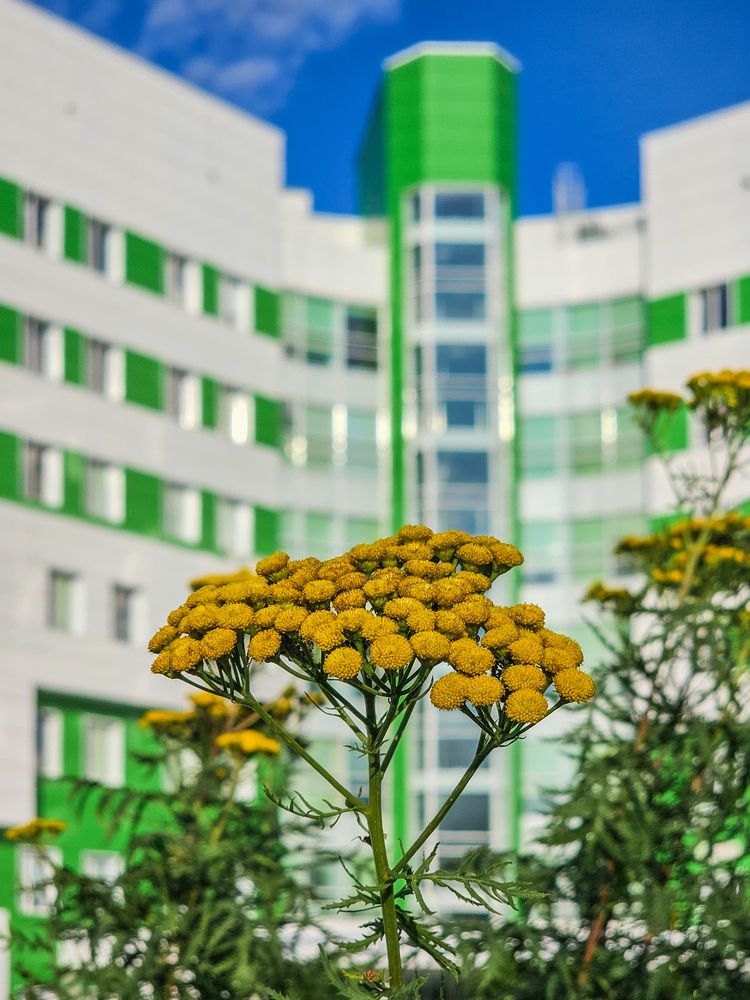 Photograph by Сергей Кесаев