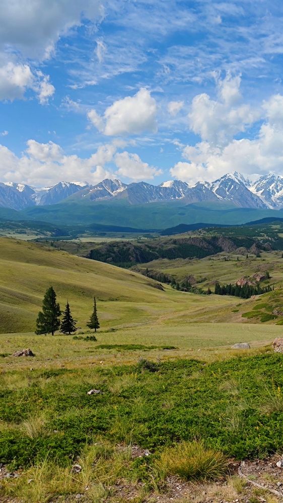 В горах Алтая