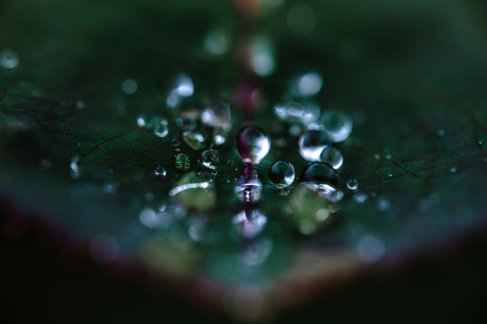 Фотография автора Uesan Aliace