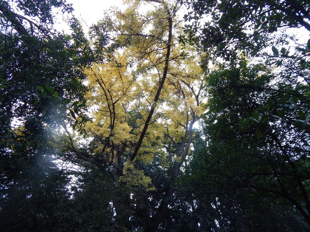 Photograph by Tanivsv