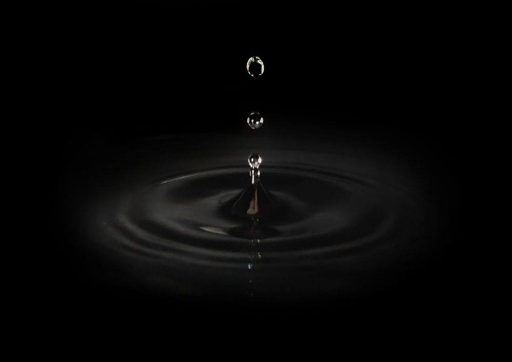 Photograph by Maria Stankevich