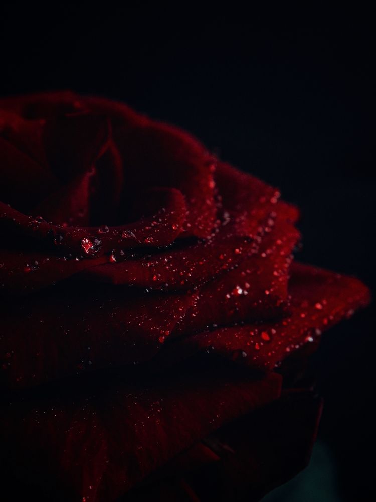 Photograph by Maria Stankevich