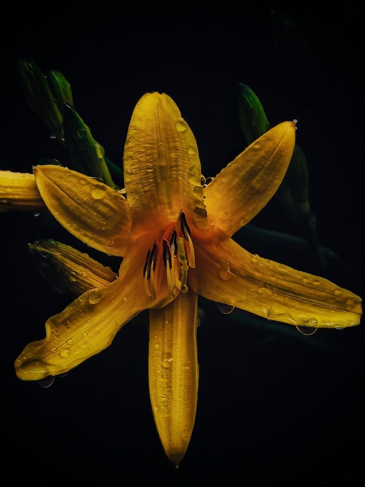 Photograph by Maria Stankevich