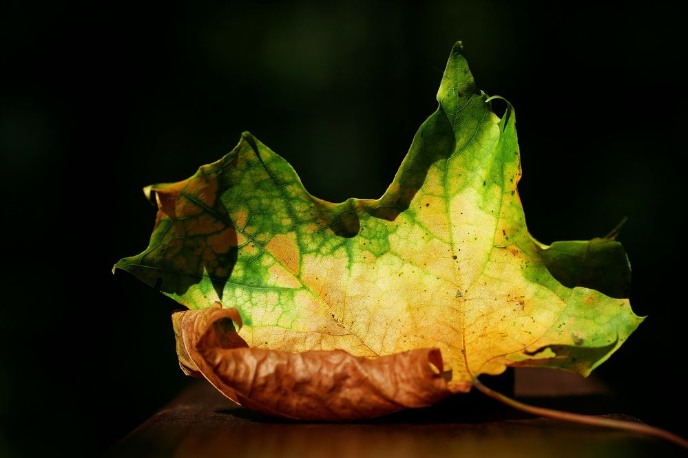 Photograph by Владимир Лобанов