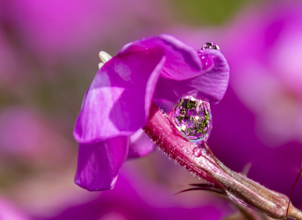 Photograph by Валентина Куренкова