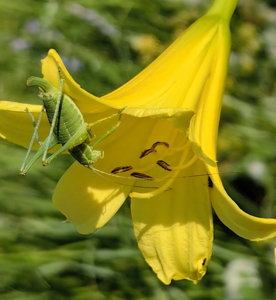 Photograph by Светлана Булыгина