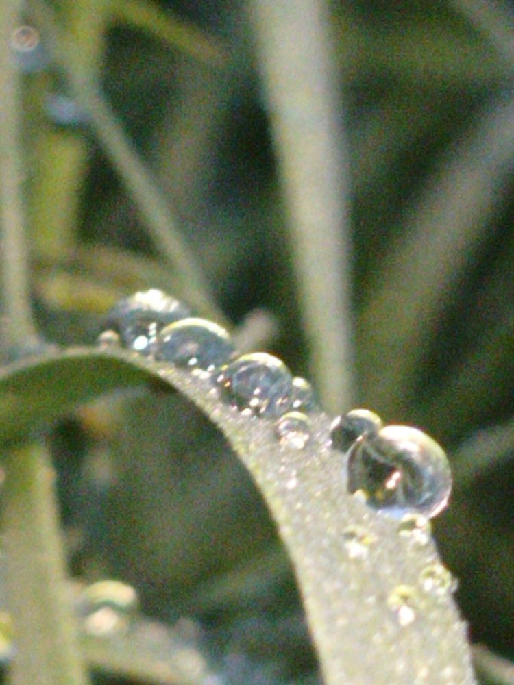 Photograph by Лариса Натальская