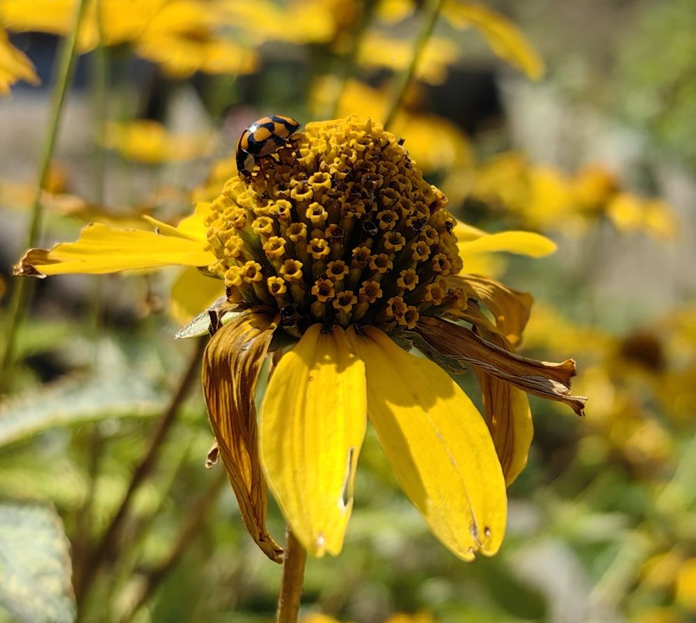 Photograph by Светлана Булыгина