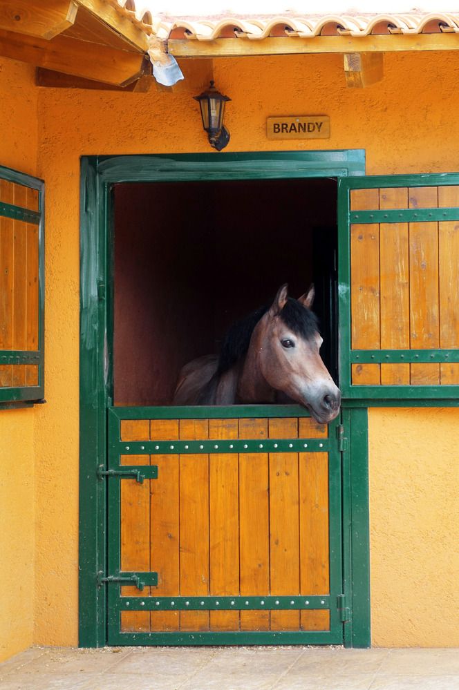 Photograph by Марина