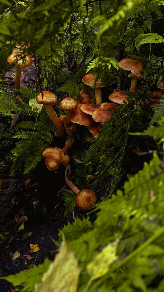 Photograph by Ольга Фомина