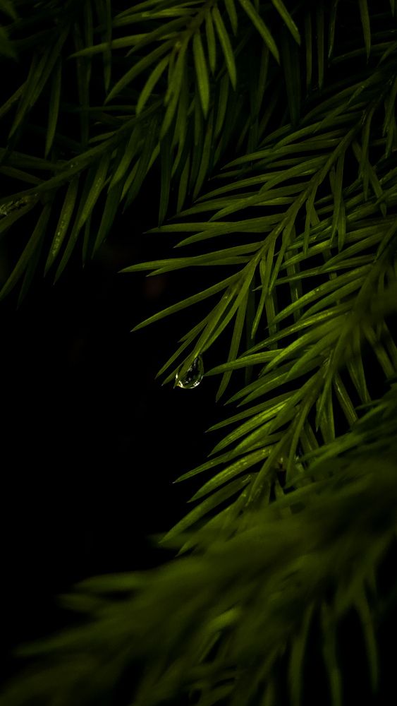 Photograph by Наталия Короленко