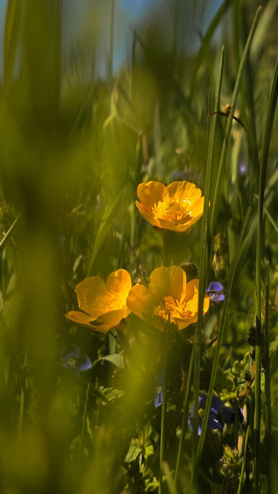 Photograph by Ольга Фомина