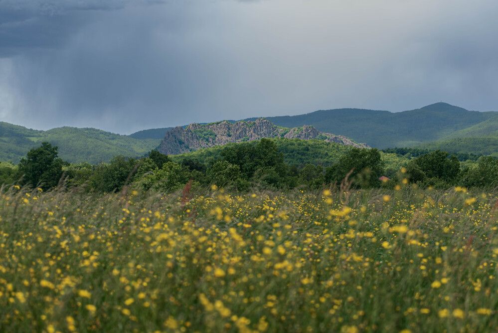 Photograph by Milan Đorđević