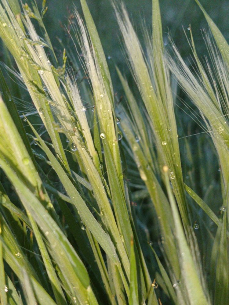 Photograph by Лариса Натальская