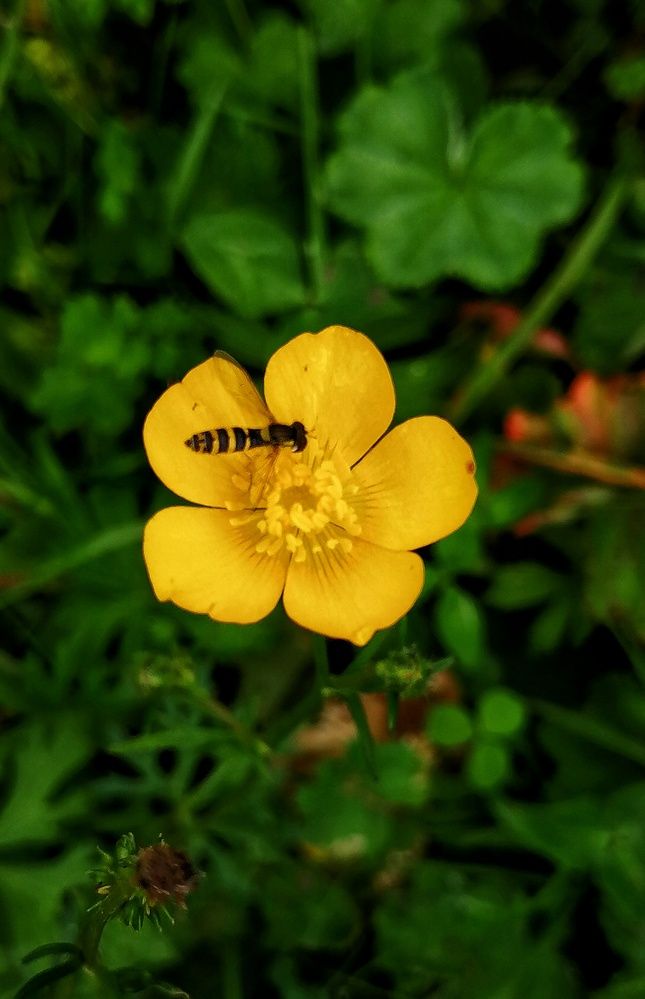 Photograph by Елена Сабирова