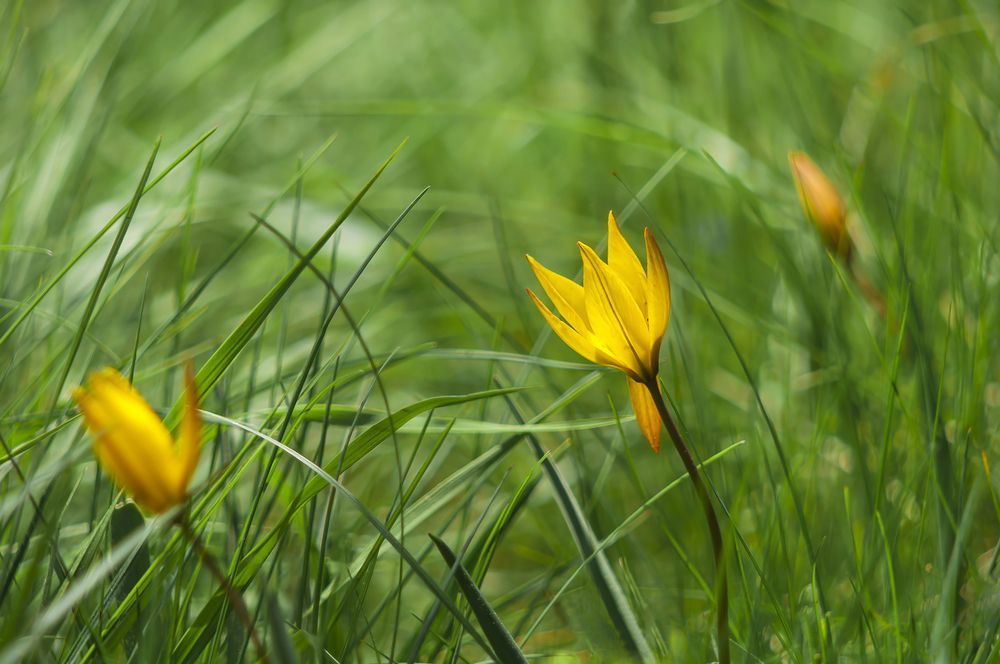 Photograph by Svetlana Rizzo