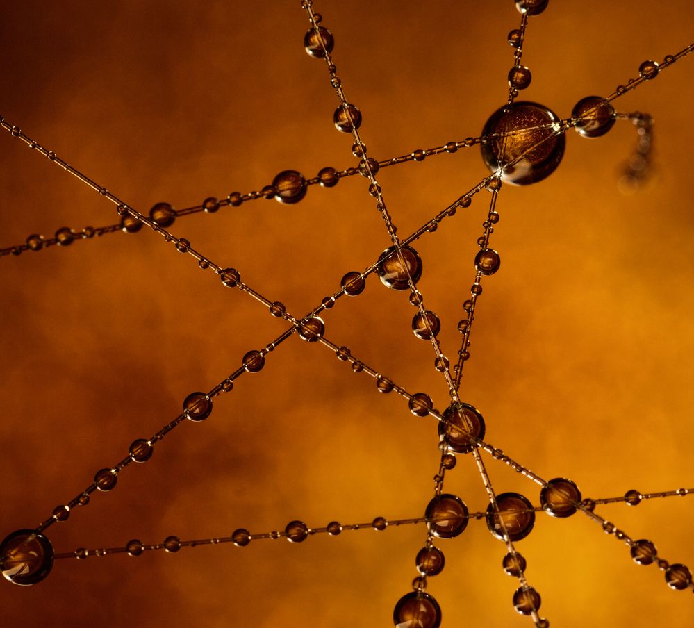 Photograph by Николай Захаров