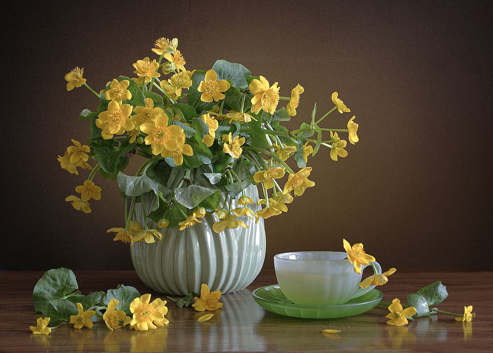 Photograph by Татьяна Долженкова