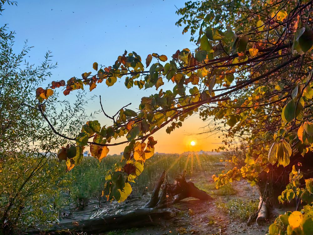 Photograph by Рустам Сафин