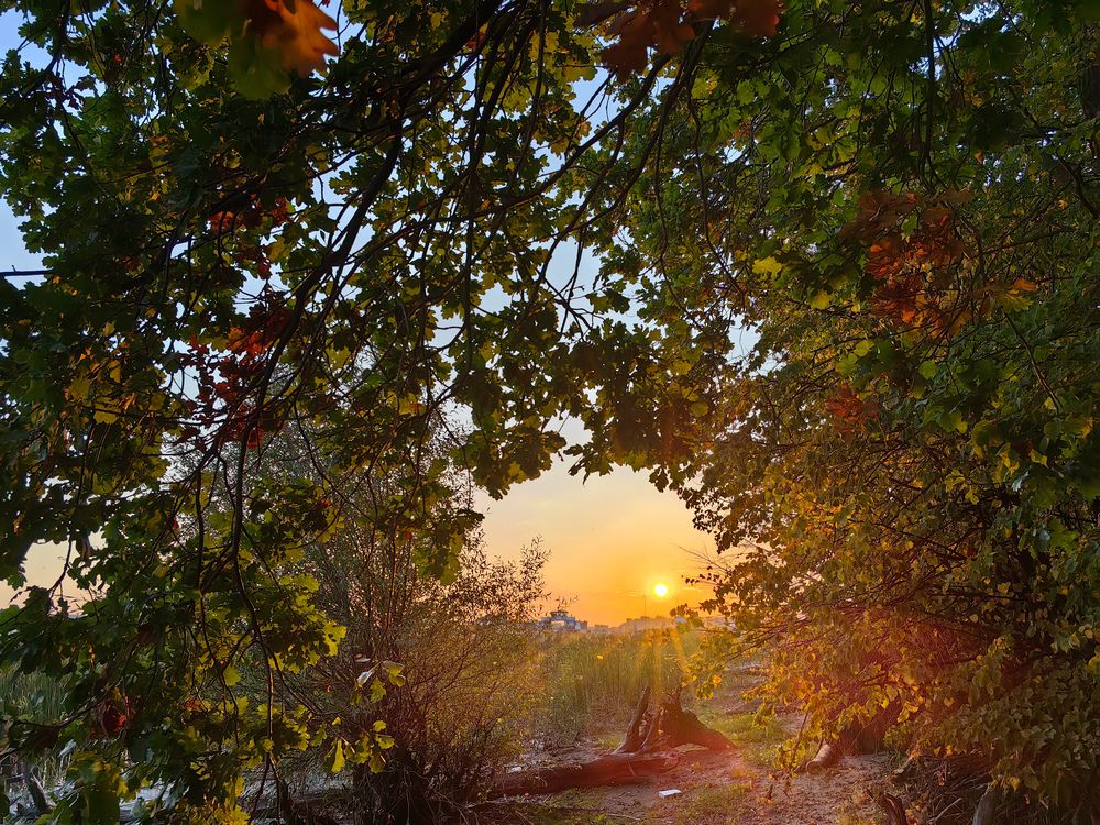 Photograph by Рустам Сафин