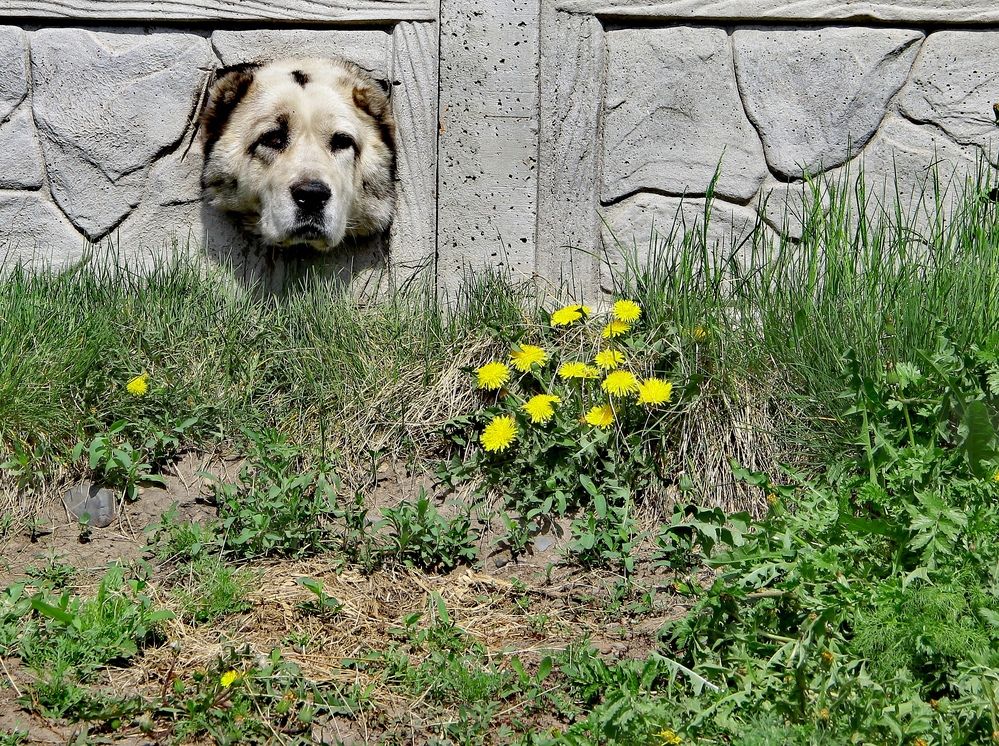 Photograph by Светлана Булыгина