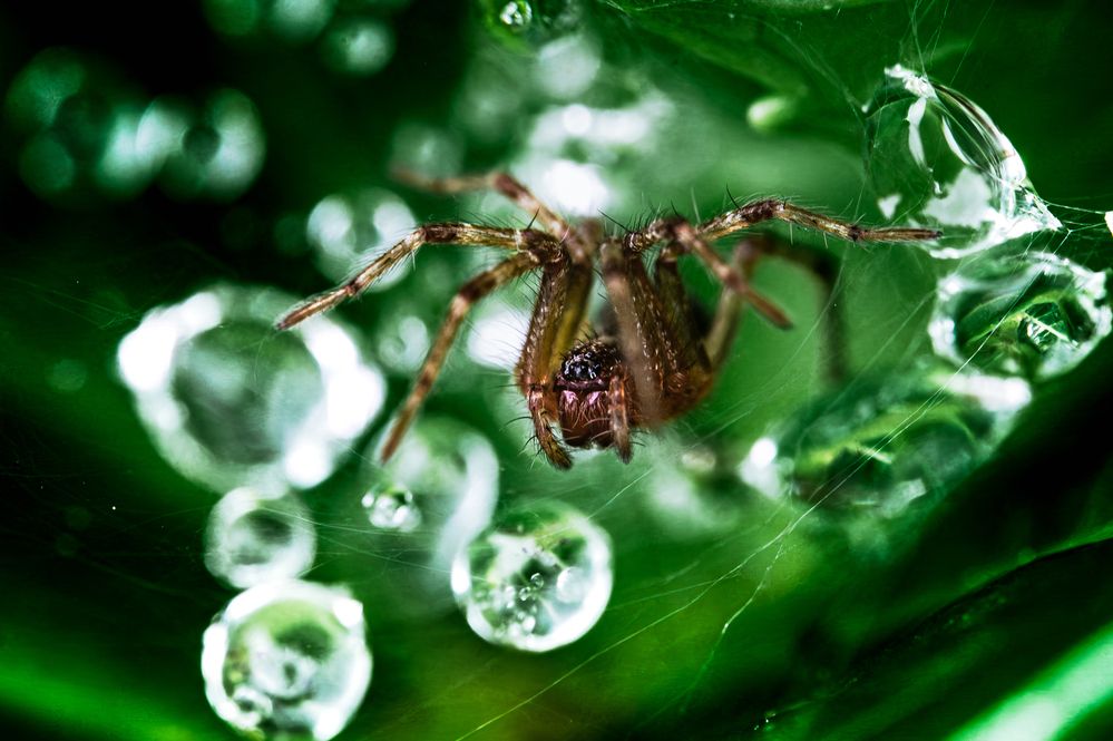 Фотография автора Uesan Aliace