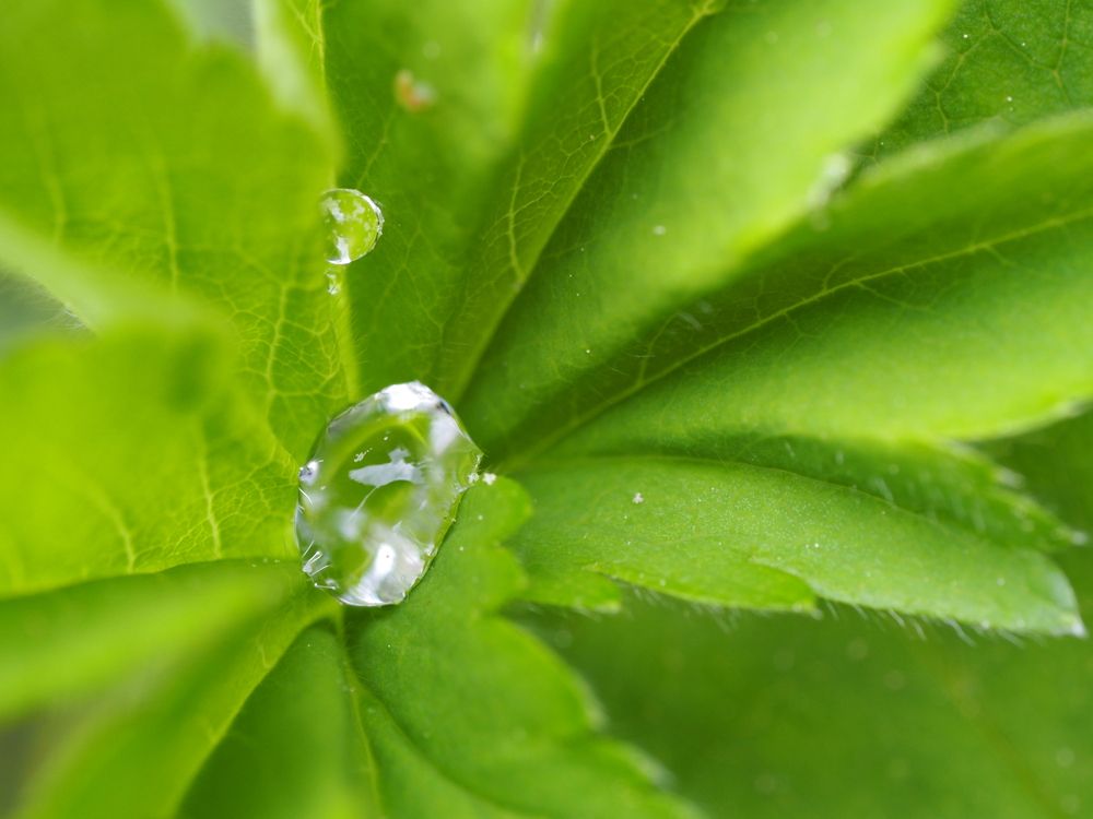 Photograph by Кристина Городецкая