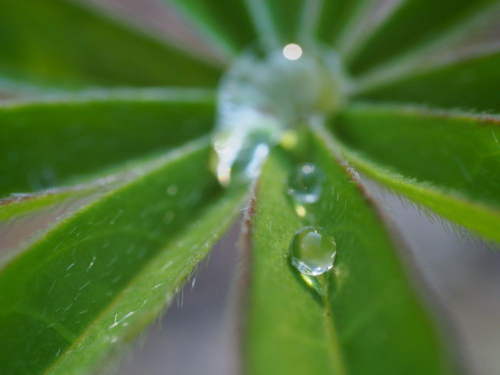 Photograph by Кристина Городецкая