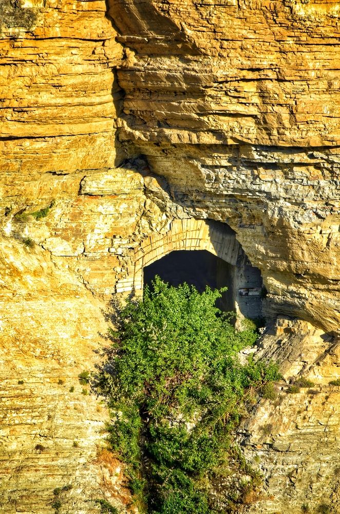 Photograph by Алена Самошина