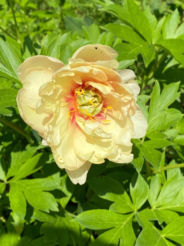 Photograph by Ирина Лукашова