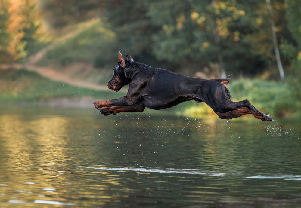 Photograph by Мария Клещенко