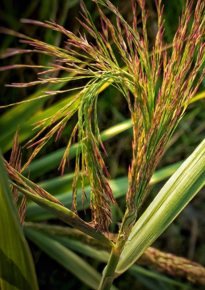 Photograph by Ольга Куцева