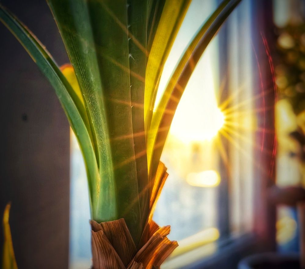 Photograph by Сергей Зайцев