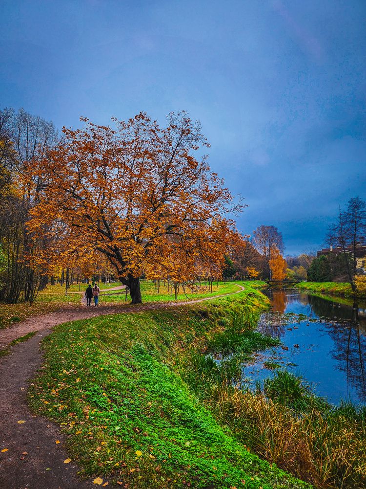 Фотография автора Evgeniy Shabanov
