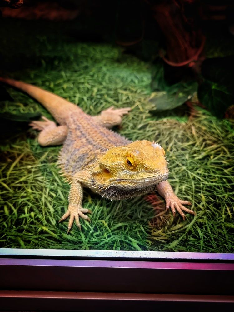 Photograph by Алена Самошина