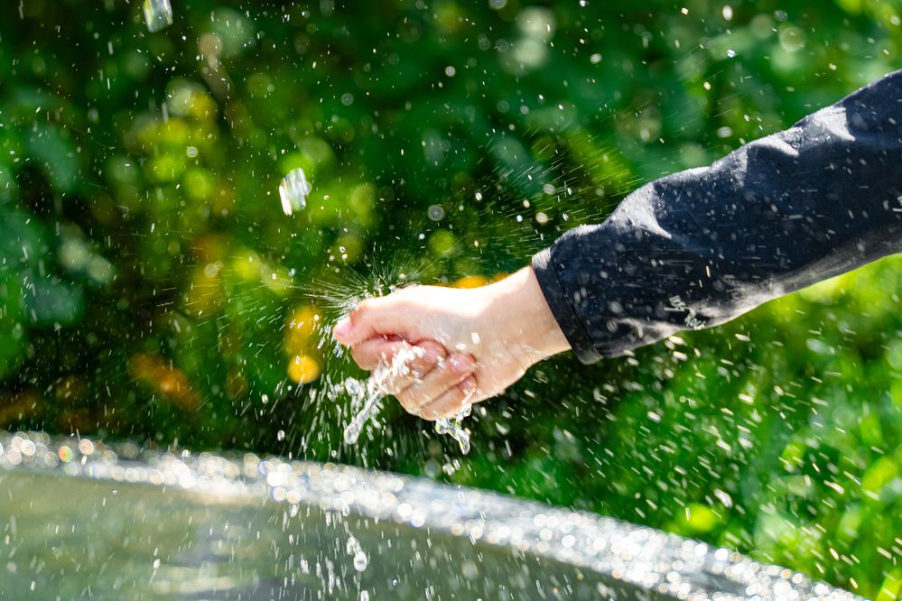 Photograph by Арсений Крят