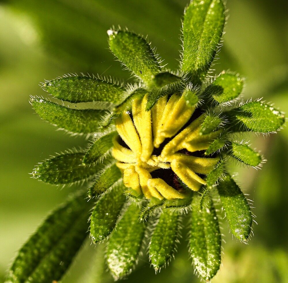 Photograph by Елена Одынец