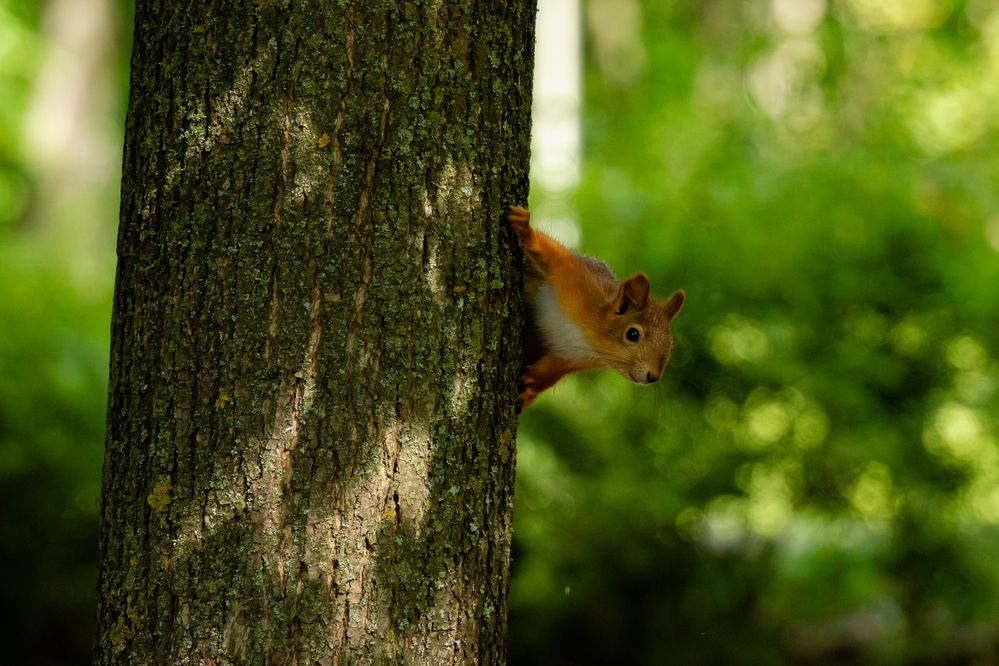 Photograph by Арсений Крят
