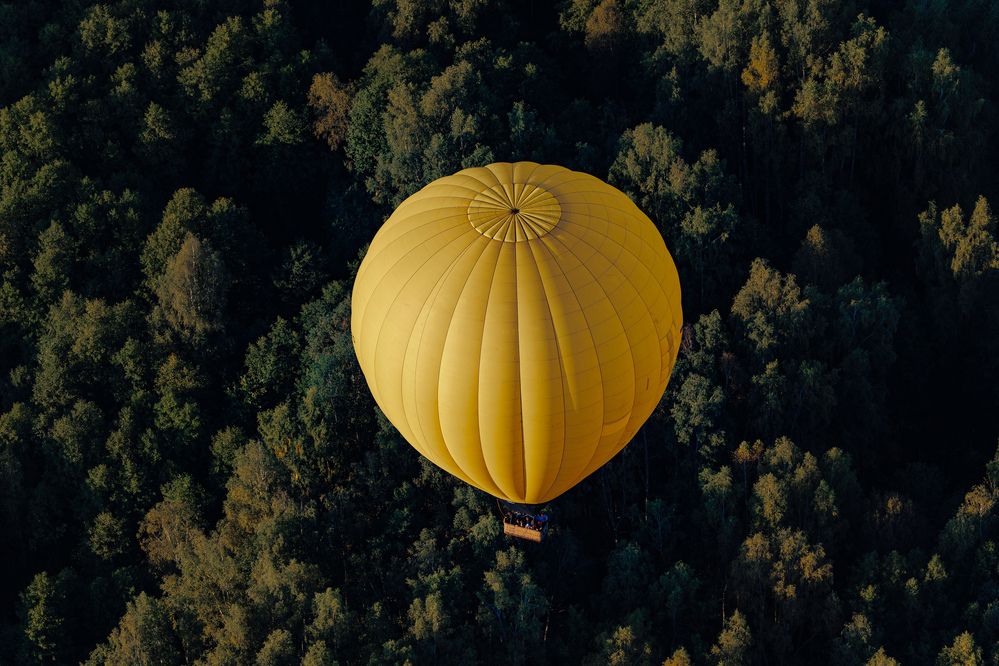 Фотография автора Дмитрий Бойков