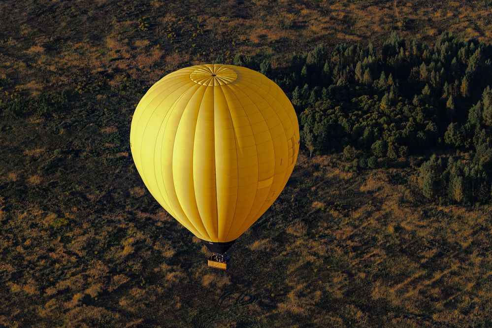 Фотография автора Дмитрий Бойков