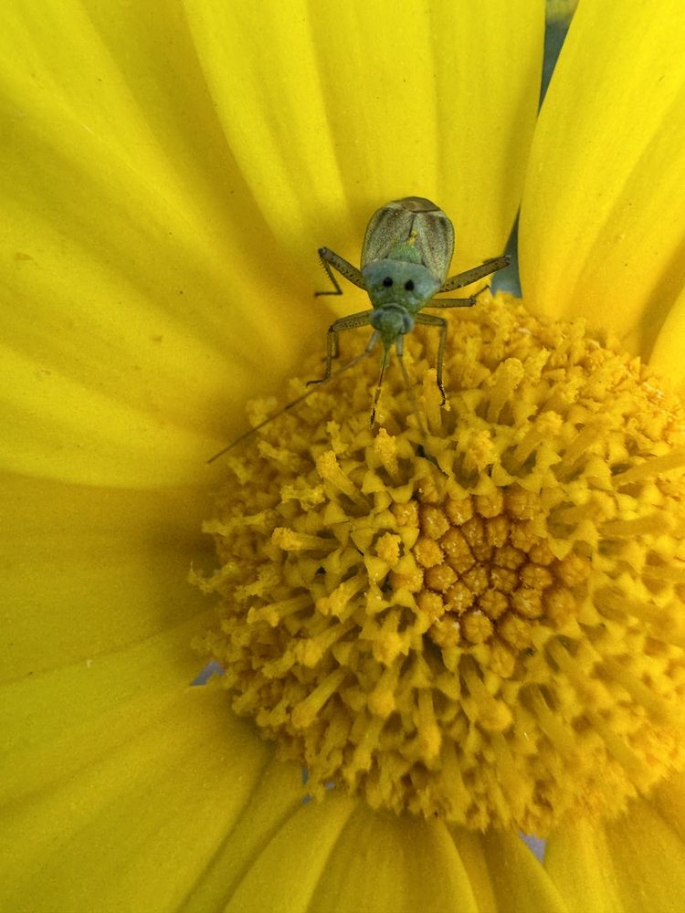 Photograph by Юлия Давшан