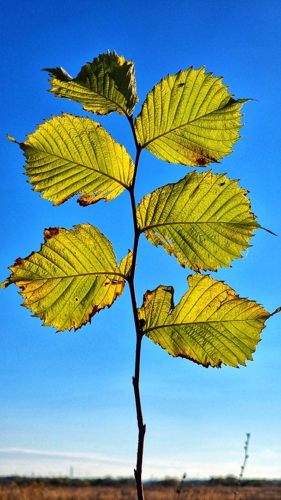 Photograph by Алена Самошина